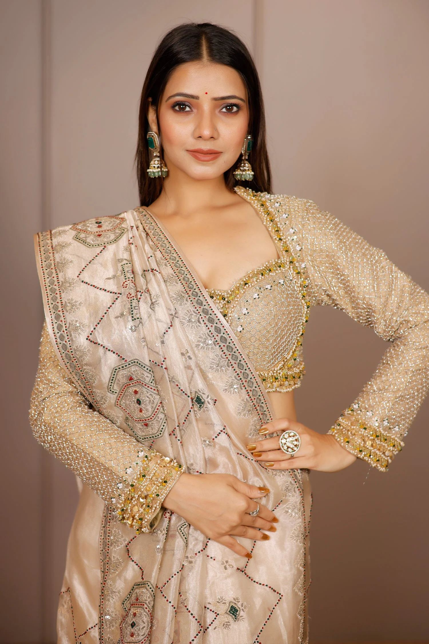 Light Beige Tissue Designer Handworked Saree - Image 4